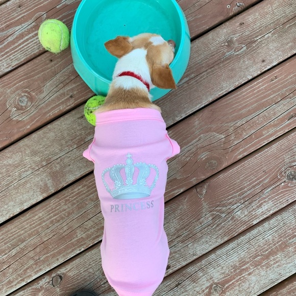 Expawlorer Small Princess T Shirt - Picture 2 of 6